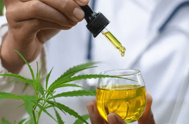 Anvisa approves new rules for the use of medicinal cannabis in Brazil