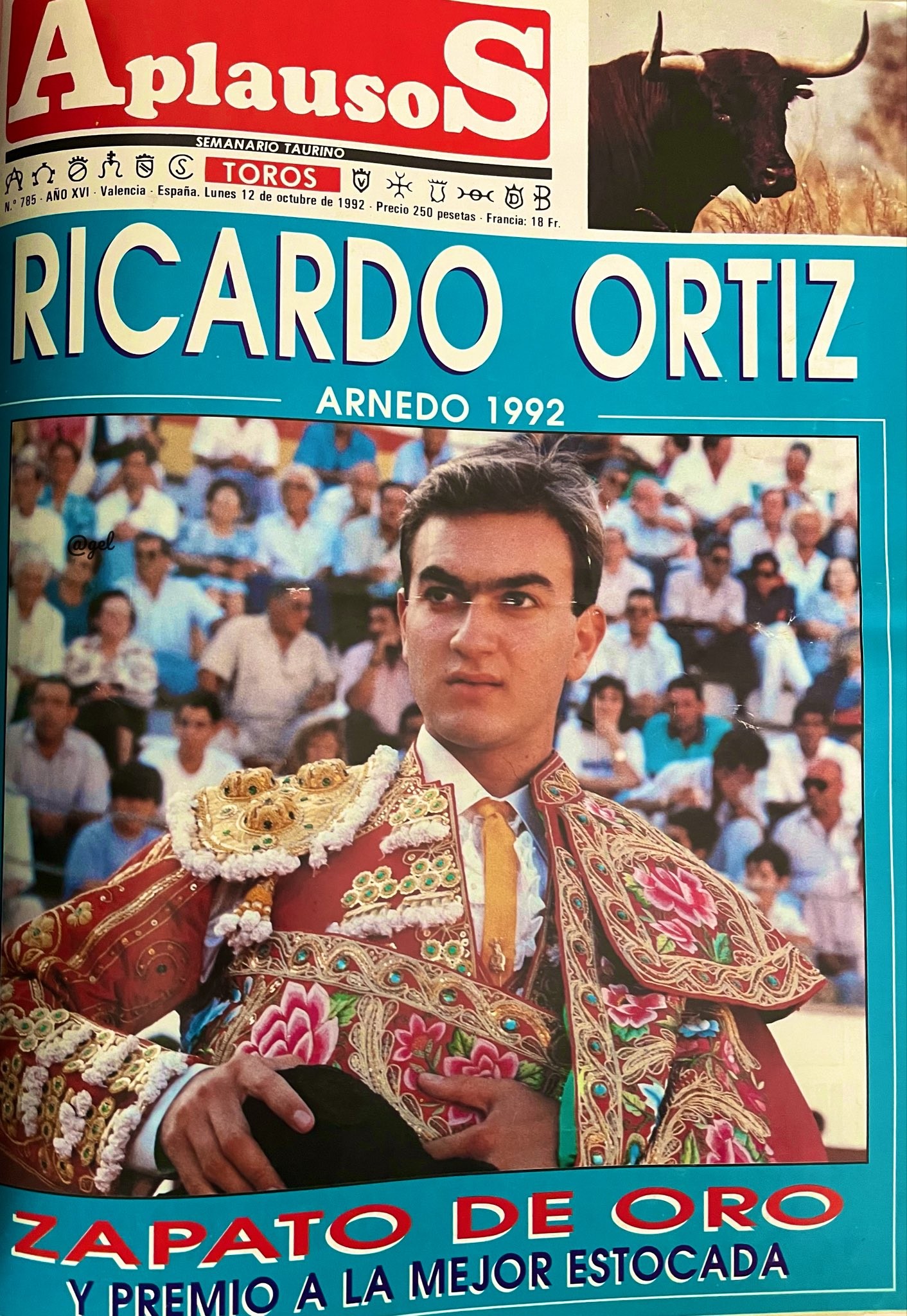 Former bullfighter dies after being attacked by bull in arena in Spain