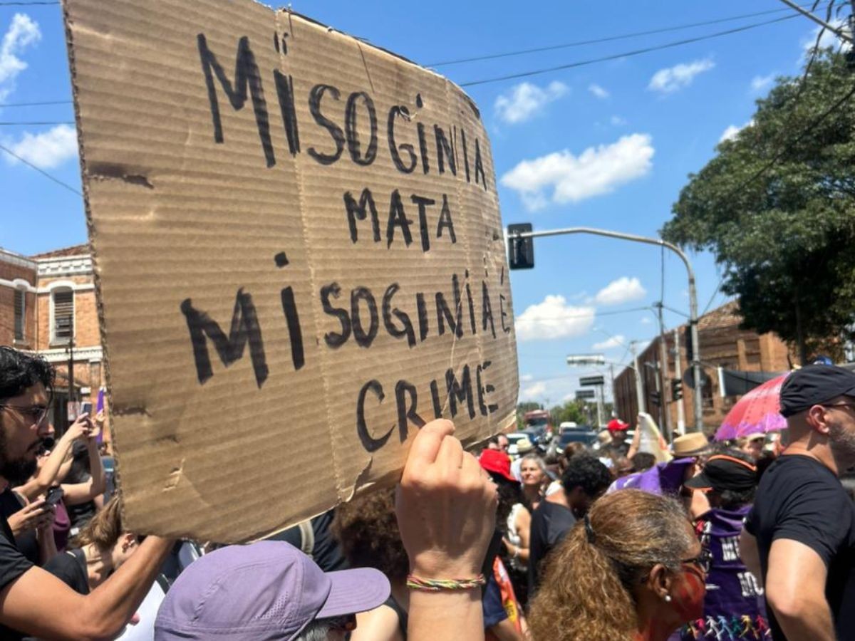 The law against misogyny: the clashes in Congress and on social media