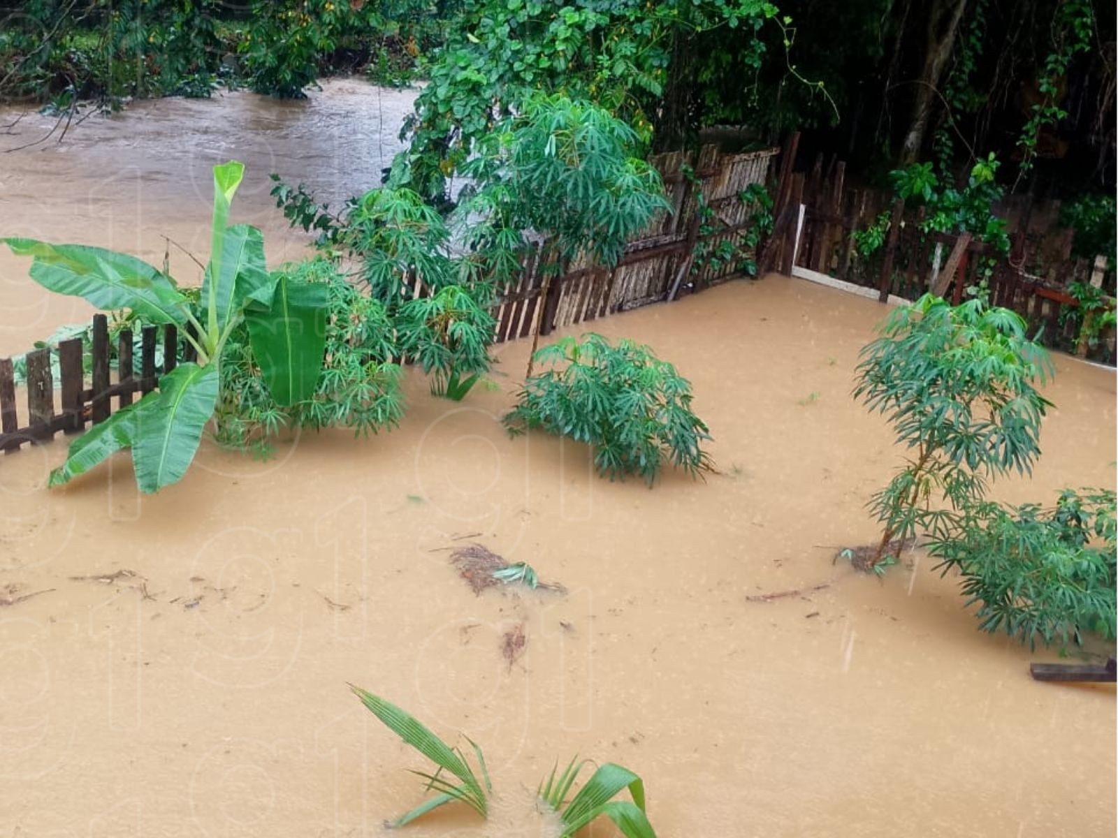Heavy rain causes damage in Rio Branco