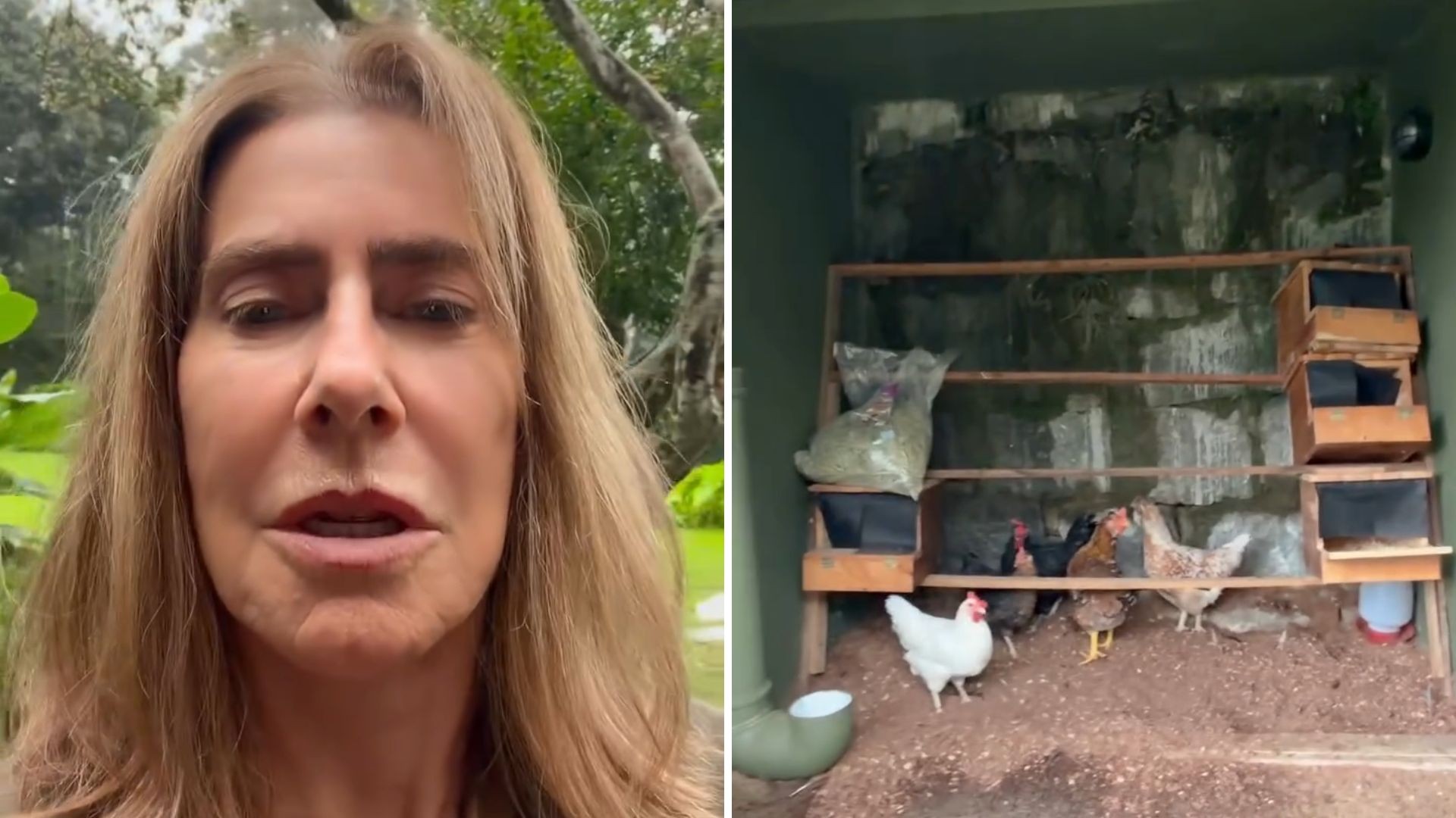 Maitê Proença showcases country life after selling R$ 4.3 million apartment: 'I want to show it'